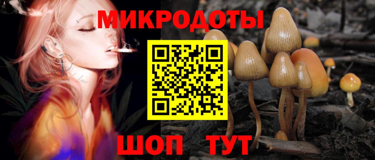 Галлюциногенные грибы ЛСД Петропавловск-Камчатский